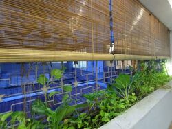 Yong Siak Street (D3), Detached #573994901